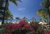 Beach and Bougainville